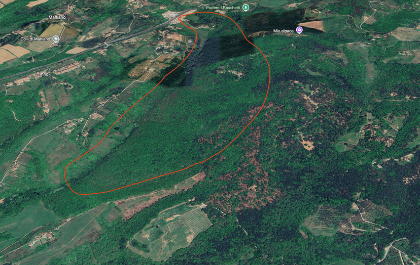 Campo di Lastra a Signa - Terreno collinare boschivo